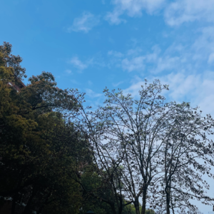 神曲27（净界·第31-33篇）