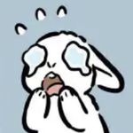 momo_11