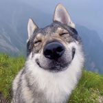 世桢施针不过十针