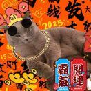 小悔回
