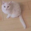 丸哒哒哒哒哒哒哒哒