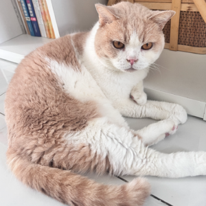 脑子转得慢那就放慢说话节奏，又是一个想做正能量的人一天