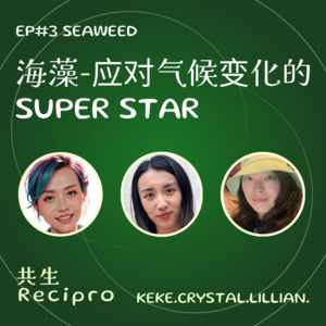 47-Recipro#3 Seaweed|海藻- 应对气候变化的 SUPER STAR