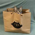 地球人没一个好东西