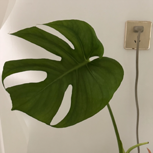 重启生活的第一件事果然还是收拾房间 📅 26.Mar.14