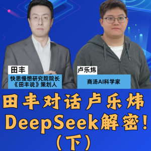 田丰对话卢乐炜：DeepSeek解密！（下）