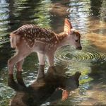 Discover-