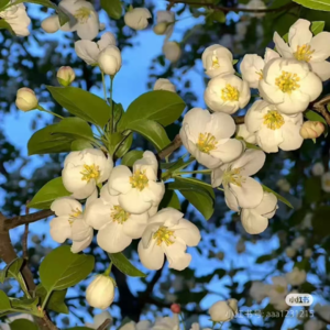 8.和合拍的人旅行，连迷路都浪漫