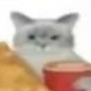 除了论文都爱看