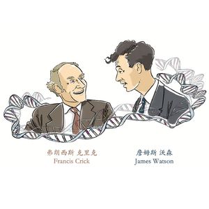 大师的养成｜不一样的沃森和克里克