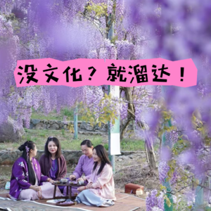 “没文化就溜达”第七期