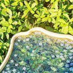 爱自己的花花