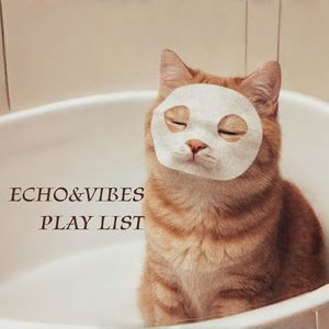 Playlist | 休息日歌单,睡觉是今天唯一To Do