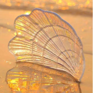 VOL174.思考、等待、斋戒：对爱的人有耐心，是一辈子要学习的事情。