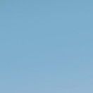 sunshine_qNN3