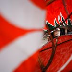 上海不知名倔驴