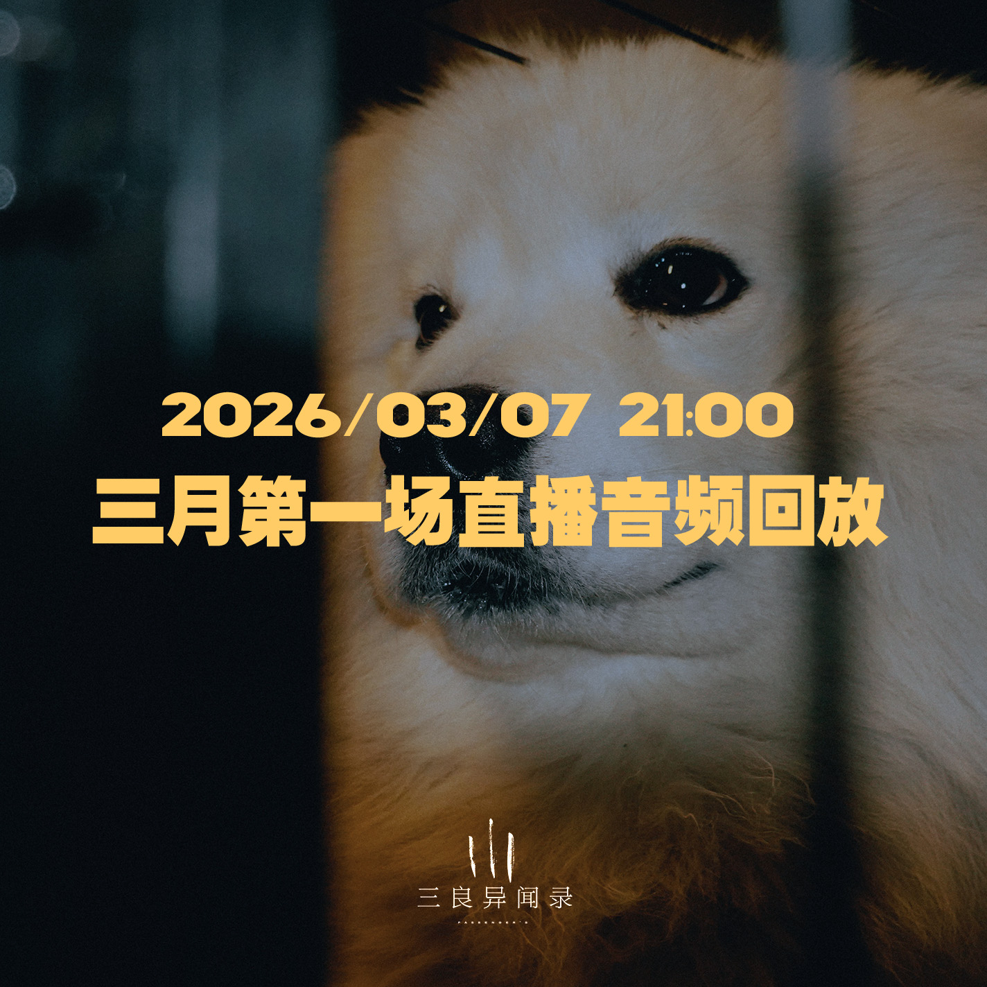 【直播回放】三月第一场直播回放 2026/03/07 21:00 episode artwork