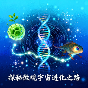 编程探秘微观宇宙进化