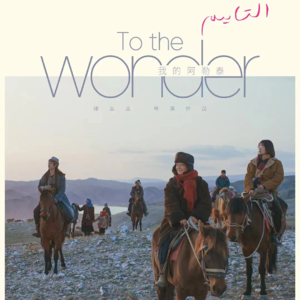 27. 剧版《我的阿勒泰》很好,但或许不必通过弱化女主来塑造男主