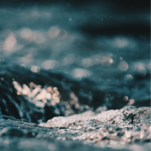 Vol.28 被生活推着走好累，《悉达多》与《臣服实验》藏着怎样的心灵解药？