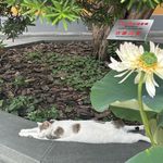 J钱钱