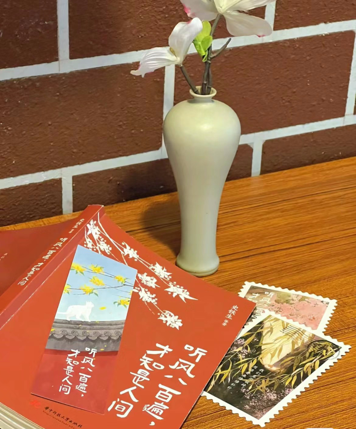 vol.055 《听风八百遍，才知是人间》且行且忘且随风，且行且看且