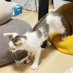 咬我