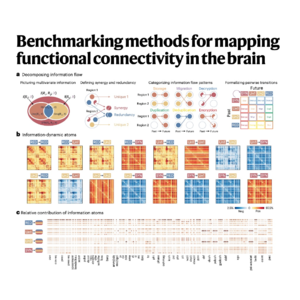 218-Benchmarking Functional Connectivity Mapping Methods