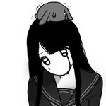 就當我是白日夢