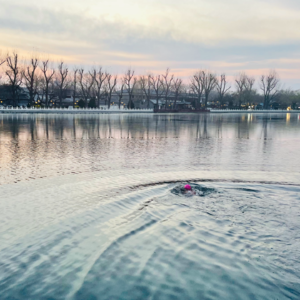 5. 京城的小河 | 在什刹海的冰水里，做一条自由的鱼。