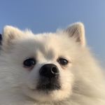 读感兴趣的文章