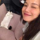 给你一点甜甜