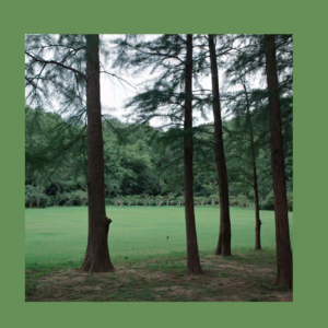 惊蛰时节 在春天双脚深植于坚实大地