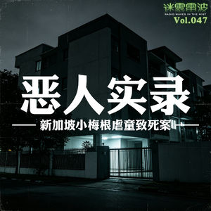 Vol.047 | 恶人实录：新加坡小梅根虐童致死案
