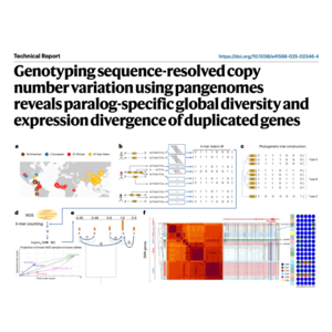 233-Ctyper: Genotyping CNV Using Pangenomes