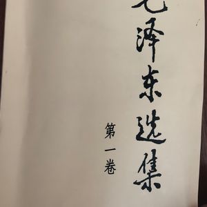 湖南农民运动考察报告