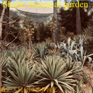 南国街街访part5:“你唔识就问人.”