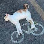 往前走GoGoGo