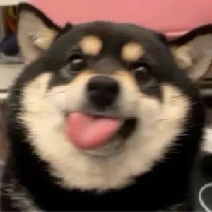 蛐蛐要发Hong