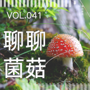 041.博士后带你逛超市：盒马山姆的蘑菇，哪些值得放进购物车？