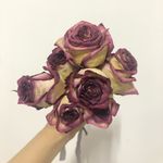 荔枝西米露