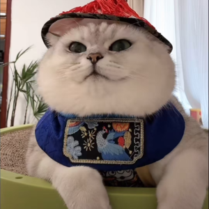 资本市场舆情解读【11月12日】