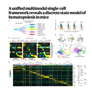 265-High-Resolution Atlas of Hematopoietic Progenitors