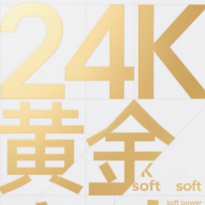 前瞻钱瞻389.AI时代的竞争密码：24K黄金软实力，重塑你的不可替代性