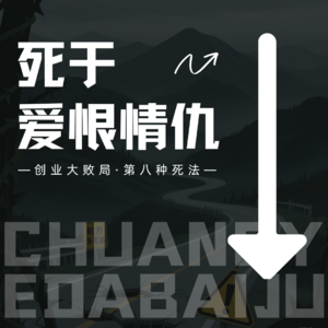 vol.8【创业大败局第八种死法】死于爱恨情仇