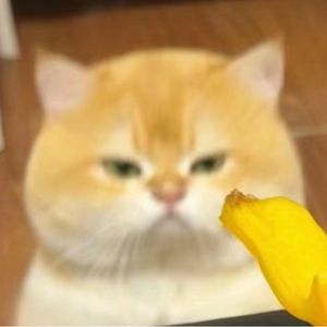 令狐冲冲冲冲冲冲冲
