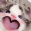 CelineLuk