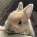 她点头说好