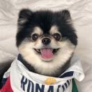 水水水水水水_xgps