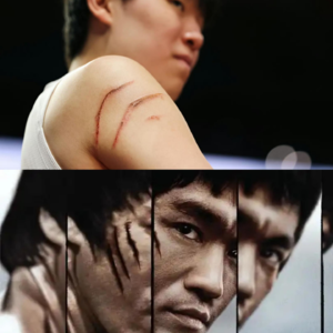 瀚森之路》vol.19之从u19核心到NBA蓝领，杨瀚森“消失的数据”背后，藏着真正的NBA生存密码。